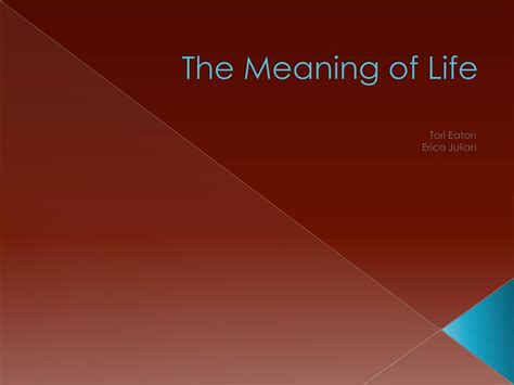 Image result for Rel Project Shell