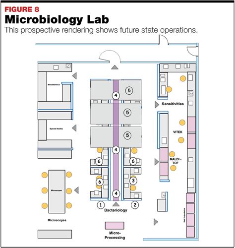 Image result for Microbiology Lab Layout