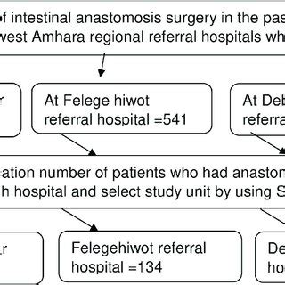 Sampling Procedure Sample-க்கான படிம முடிவு