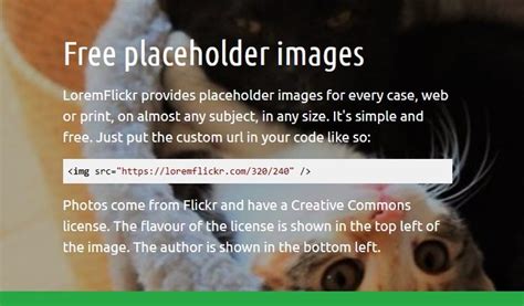 Image result for Placeholder Human Head