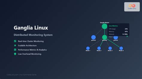 Image result for Visualization of Operating System Linux
