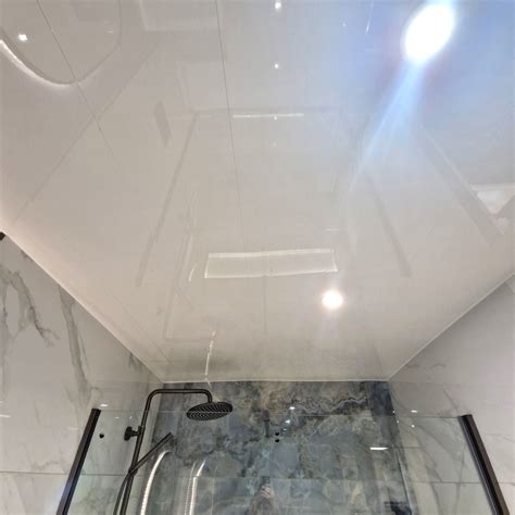 Image result for Neptune Ceiling Cladding