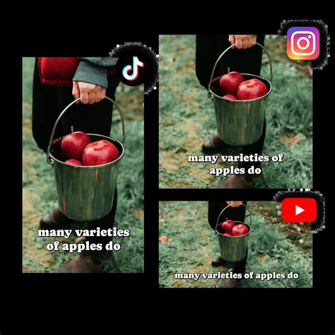 Image result for Add Text to the Video File Using Ai