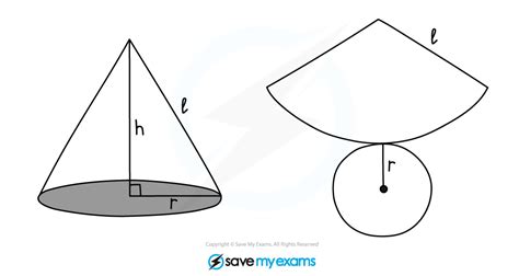 Image result for Cone Net