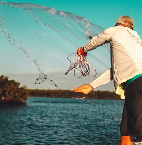 Metal Net Cast Net に対する画像結果