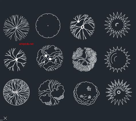 Tree Plans Dwg - Arkipedia EN