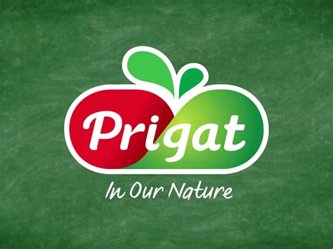 Image result for Prigat Israel Logo