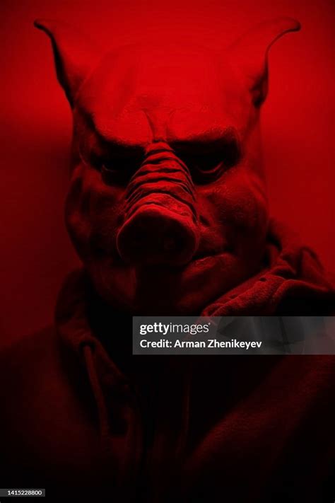 Scary Pig Transparent Background ਲਈ ਪ੍ਰਤੀਬਿੰਬ ਨਤੀਜਾ