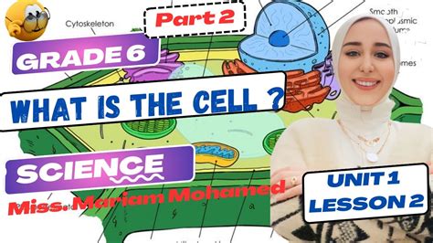 Image result for Science Lesson Grade 6 Part 1