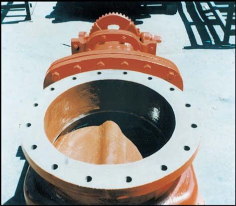 Image result for Gate Valve Rebuild Kit