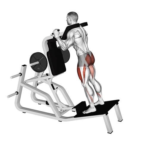 Image result for Hack Squat Exercise