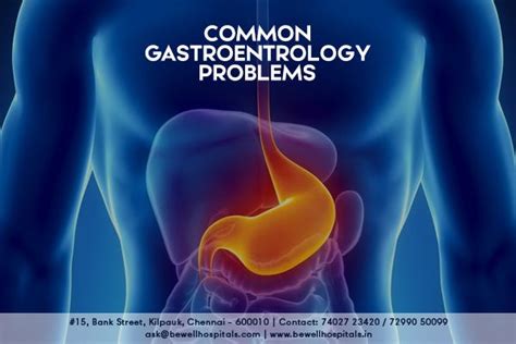 Gastrointestinal Problems に対する画像結果
