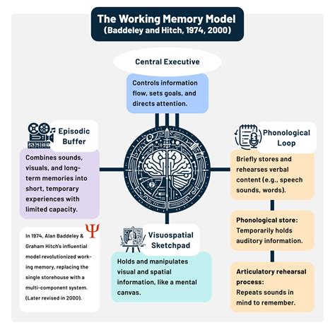 Toradh íomhá ar Working Memory Model Explained