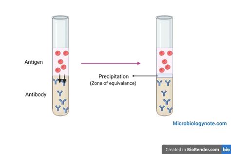 Toradh íomhá ar Single Diffusion Break Process Flow