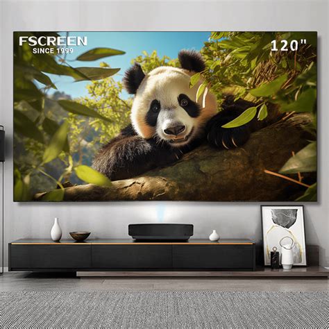 Afbeeldingsresultaten voor Projection Screen Frame