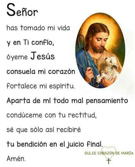 Image result for CTR Shield PNG