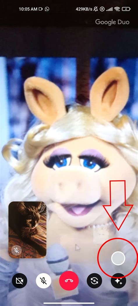 Image result for How Turn On Cameran Google Duo iPhone