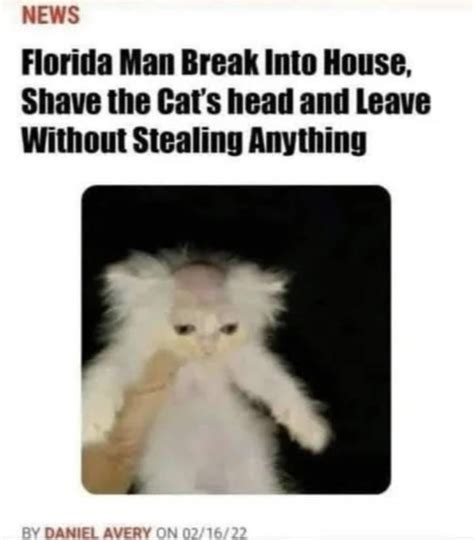 Image result for Uzi Fatal Error