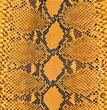 Image result for Python Leather Type