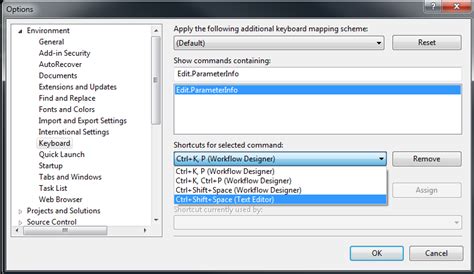 Image result for Visual Studio Parameters