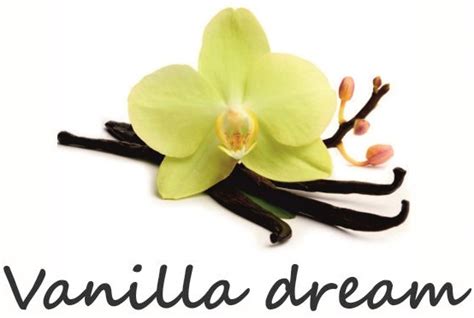 Image result for Vanilla Minecraft Bookshelf Interior Design