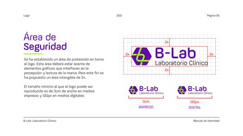 Image result for Vision of B Lab