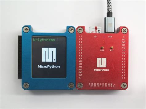 Image result for Microython