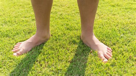 Afbeeldingsresultaten voor Grounding of Helicopter Refueling