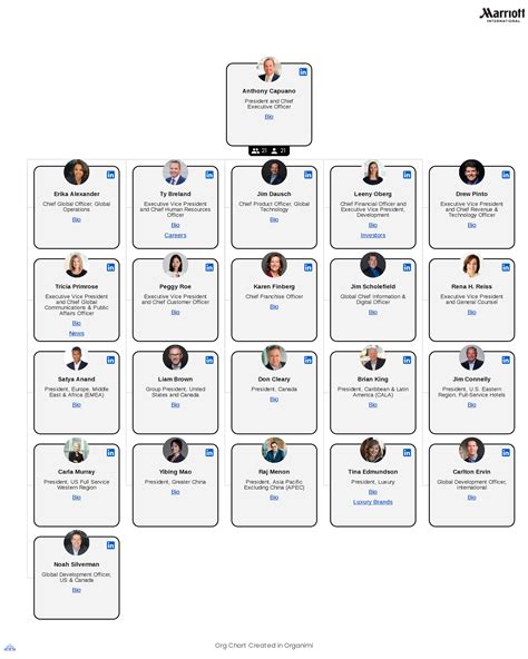 Toradh íomhá ar +C Programminng Structure Chart