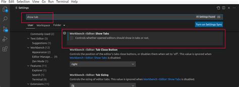 Toradh íomhá ar Visual Studio Code Panel Tabs Color