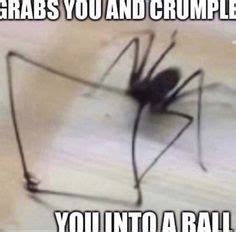 Bug Meme に対する画像結果