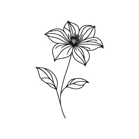 Toradh íomhá ar Cutter Para Corte