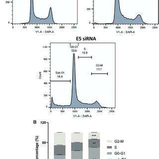 Image result for Combination Cell Cycle Cell Proliferation Flow Cytometry
