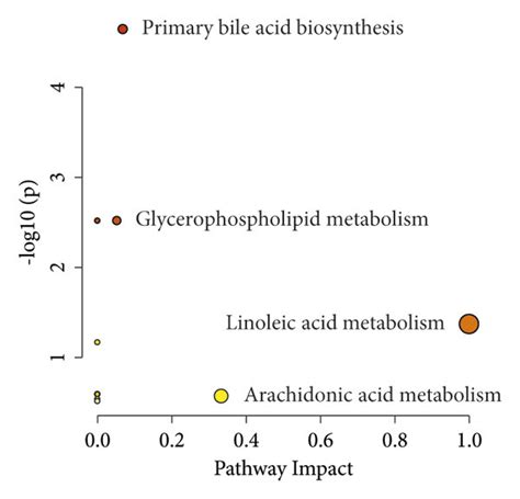 Image result for Experimental Analysis of Metabolic Pathway