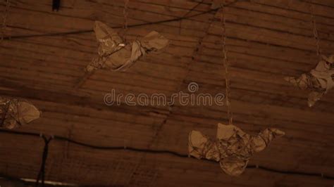Basement Ceiling Craft Paper എന്നതിനുള്ള ഇമേജ് ഫലം