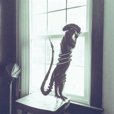 Image result for Xenomorph Cat