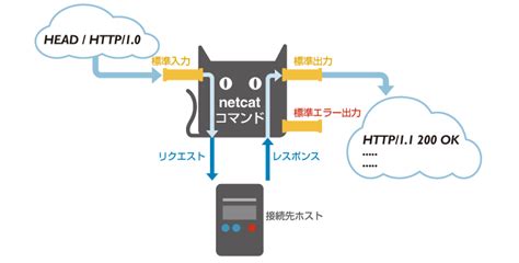 Image result for Netcat