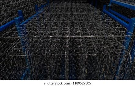 Bonnell Spring Vector に対する画像結果