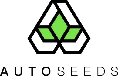 Permanentmarker Autoflower എന്നതിനുള്ള ഇമേജ് ഫലം