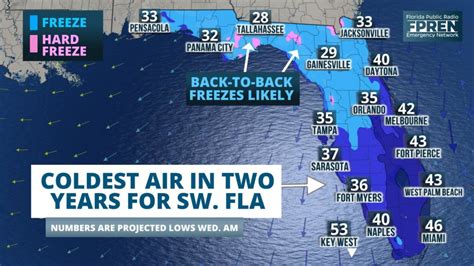 Image result for Florida Runner Cold Weather