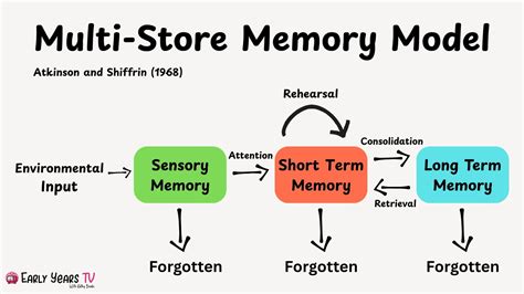 Image result for Blank Multi-Store Memory Model