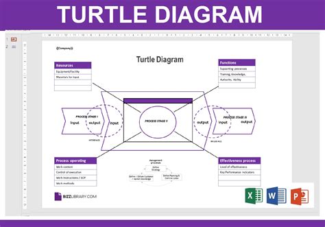 Image result for Turtle Shell Diagrame
