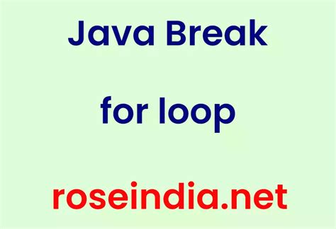Image result for Java for Loop with Break