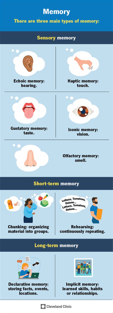 Afbeeldingsresultaten voor Types of Memory