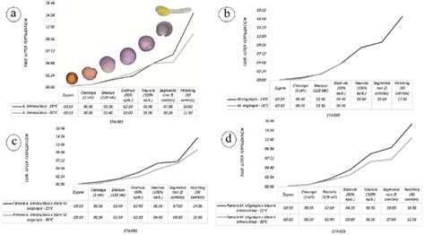 First Stage of Biological Development に対する画像結果