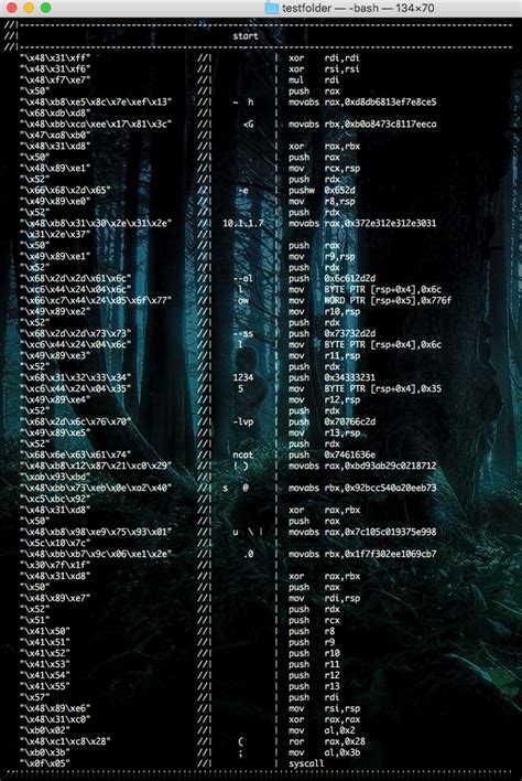 ASM to Opcode に対する画像結果