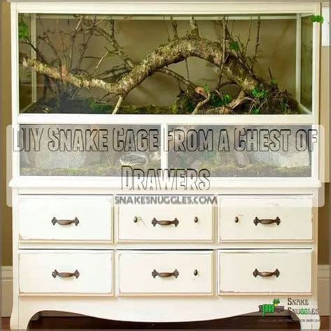 Image result for How to Build a Snake Cage Plans