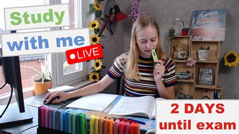 Image result for Project Elon Study with Me