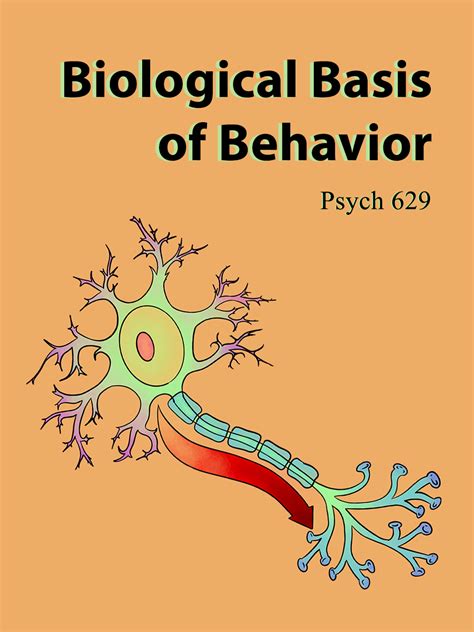 Image result for Biological Basis of Human Behaviour