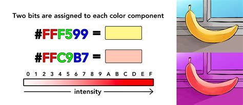 Image result for Coding Language Based Off Color